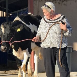 Meet your Posher, Marlene